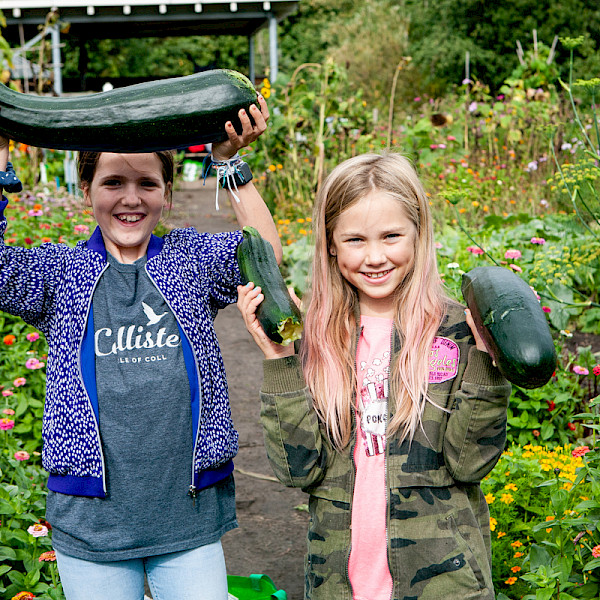 Onder Het Maaiveld - Junior