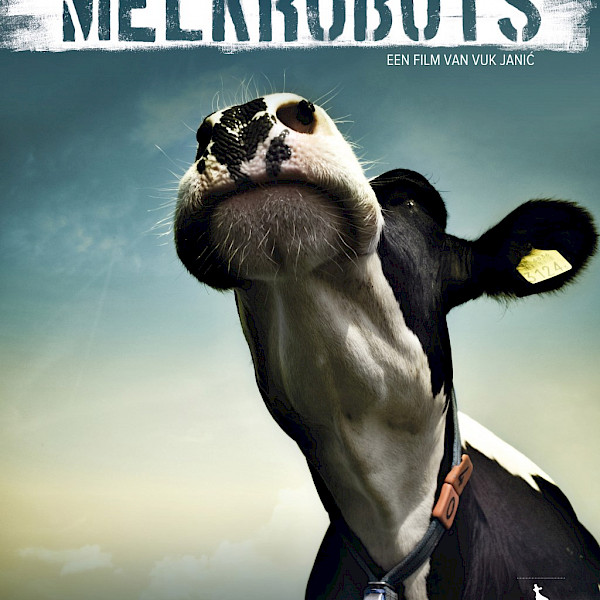 Het mysterie van de melkrobots