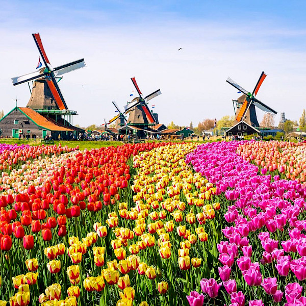 Hollandse Avond