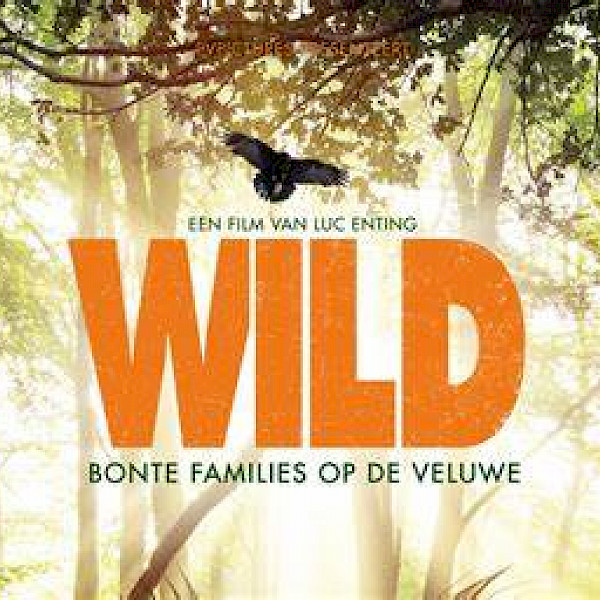 Wild, bonte families op de veluwe
