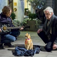 A Street Cat Named Bob-2
