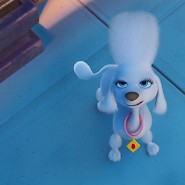 Paw Patrol-1