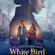 White Bird-2